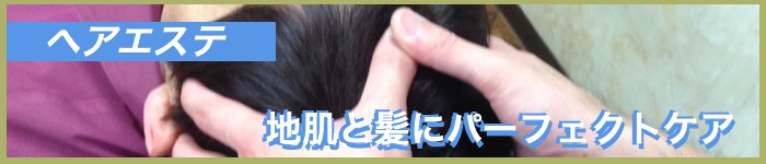 ヘアエステ